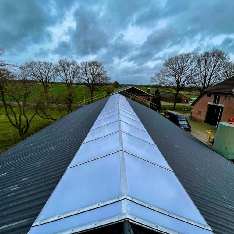 Dakrenovatie inclusief lichtstraat in Renswoude